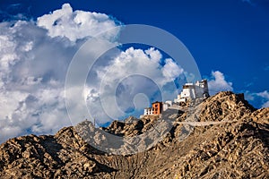 Namgyal Tsem gompa and fort. Leh, Ladakh