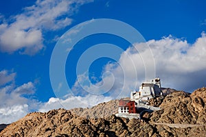 Namgyal Tsemo gompa and fort. Leh, India