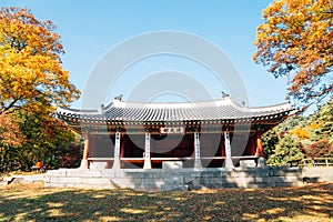 Namhansanseong Fortress Yeonmugwan, Korean traditional architecture with autumn maple in Gwangju, Korea