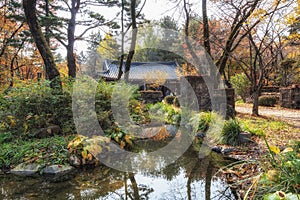 Nami Island Pavilion