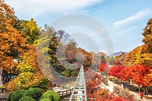 Nami Island sky bike photo