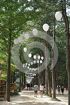 Nami Island
