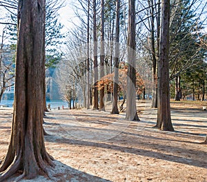 Nami Islandscape the national park