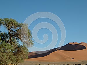 Namib desert 05