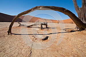 Namib desert