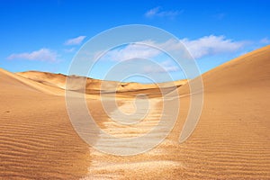 Namib Desert Dune Landscape
