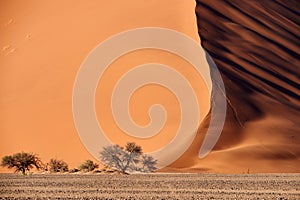 Namib Desert Dune