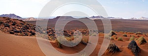 Namib desert landscape, Swakopmund, Namibia