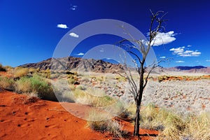 Namib Desert (Namibia) photo