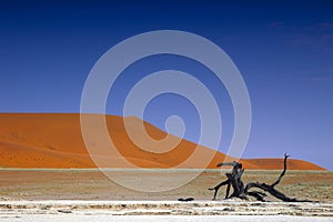 Namib Desert (Namibia)