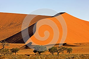 Namib Desert, Namib-Naukluft Park, Sossusvlei Dunes, Namibia