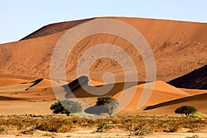 Namib Desert, Namib-Naukluft Park, Sossusvlei Dunes, Namibia