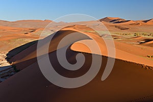 Namib Desert near Dead Vlei
