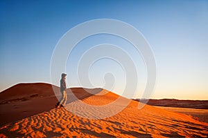 Namib desert at sunset