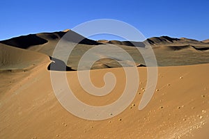 Namib Dunes