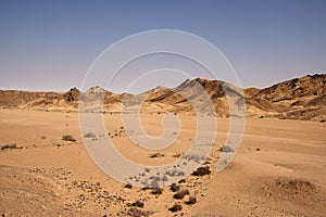 Namib Landscape