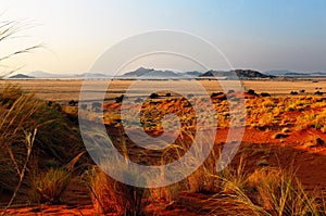 Morning mood in the Namib Naukluft National Park, Namibia