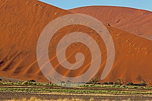 Namib-Naukluft Park, Sossusvlei Dunes, Namibia