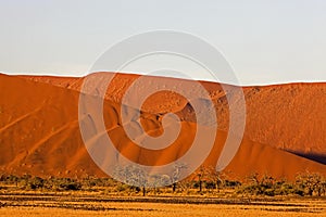 Namib-Naukluft Park, Sossusvlei Dunes, Namibia