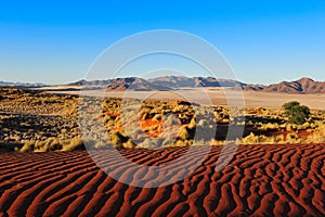 Namib Rand Nature Reserve (Namibia)