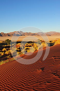 Namib Rand Nature Reserve (Namibia) photo