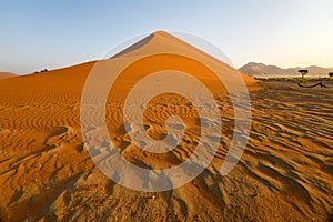 Namib sand dune in evening light