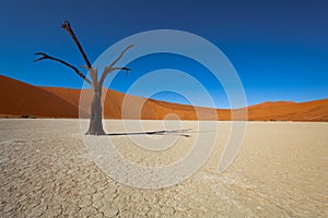 Namibia desert