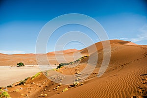 Namibia Desert, Africa
