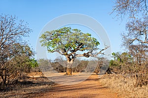 Namibia Landscape