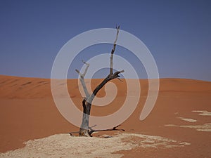 Namibia, Namib Desert,