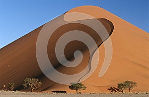 Namibia Namib Desert sand dunes