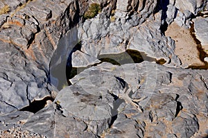 Namibia: A rare waterhole in the Kalahari near Rietoog