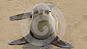 Namibia, Skeleton Coast