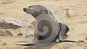 Namibia, Skeleton Coast