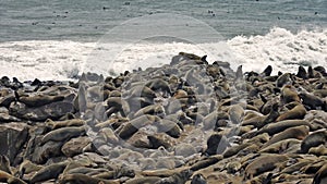 Namibia, Skeleton coast