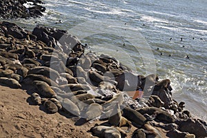 Namibia, Skeleton Coast