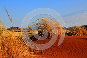 Namibia - Typical Landscape