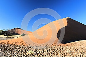 Namibian desert