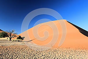 Namibian desert