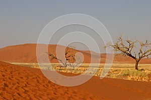 Namibian desert landscape