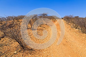 Namibian landscape along the gravel road. Oanob, Namibia