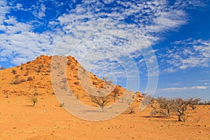 Namibian landscape Damaraland, homelands in South West Africa, Namibia