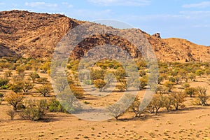 Namibian landscape Damaraland, homelands in South West Africa, Namibia