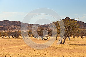 Namibian landscape Damaraland, homelands in South West Africa, Namibia