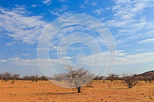 Namibian landscape Damaraland, homelands in South West Africa, Namibia photo