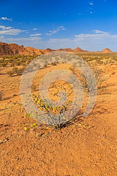 Namibian landscape Damaraland, homelands in South West Africa, Namibia photo