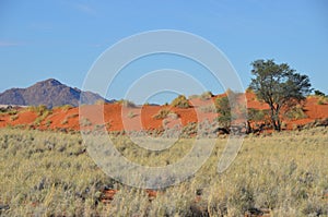 Namibian nature, Africa