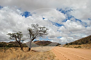 Namibian Road