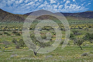 Namibian the rocks of Spitzkoppe