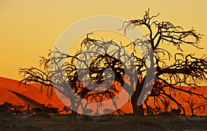 Namibian Sunset - Sossusvlei